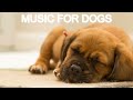 4 Hours Calming Relaxing Sleep Music For Dogs/ Separation Anxiety