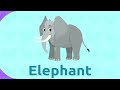 Wild animals for kids - Vocabulary for kids