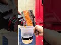 Change oil NMAX V2 (DIY) full video