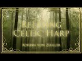 1 Hour of Relaxing Celtic Harp Music