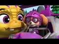 Over 1 Hour of Rescue Knights Adventures 🏰 - PAW Patrol - Cartoons for Kids Compilation