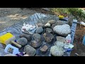 Build large carboard boulders for a 50 rock project