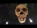 I Went to the Cradle of Humankind