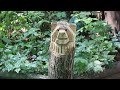 Chainsaw Carving: How to Carve Your First Bear in 9 Minutes or Less