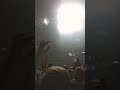 Kendrick Lamar - Humble - Amsterdam Breaking Records