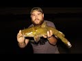 Flathead Catfishing a Small Arizona Desert River!