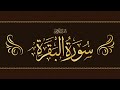 Surah Al Baqarah FULL (Al Hadr Recitation) by Shaykh Mishary Alafasy