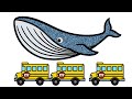 Shark or Whale? |  Let's Draw & Color Sea Animals and Learn Fun Animal Facts about Sharks and Whales