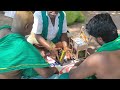 கிளி ஜோஷியம் | Parrot 🦜 predicting your dam future in Thiruchendur Murugan Temple @LandofCholas