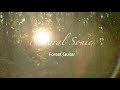 Natural Sonic「Forest Guitar 」