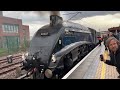 A4 60007 ‘Sir Nigel Gresley’ makes a FANTASTIC appearance at York Station (02/03/2024)