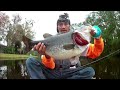 Catching RIVER BASS & JOE BIDEN FISH on the Ocklawaha River! FLORIDA FISHING AT IT'S FINEST!