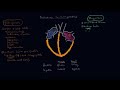 Restrictive cardiomyopathy: Pathophysiology and diagnosis | NCLEX-RN | Khan Academy