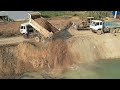 Top Update Project,  Special Pushing Soil Into Deep Water 30m, Komatsu D53P And Dump Trucks