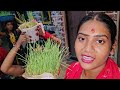 Rakshbandhan पर  चारो बहनों को खाली भाई की कमी || Shivani Kumari