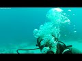 scuba diving in yanbu
