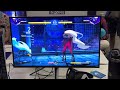 EVO 2024 Under Night In-Birth II | Alpacaman (Merkava) vs. brrrr (Merkava) - Round 3 Pools