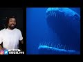 Fisherman Captured Sea Monster, What Happened Next Shocked The Whole World