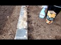 How to sow Pre Germinated Parsnip Seeds in a raised bed Part 1.