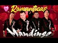 G-rupo Mandingo Exitos💖 Sus Mejores Canciones De Grupo Mandingo💖  Mix Románticas Inolvidables#20