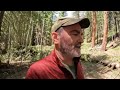 Kaibab Plateau Tree cutting and winching