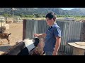 Caleb RIDES A HORSE!! Caleb GOES HORSEBACK RIDING WITH MOM and DAD!