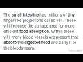 **imp**How is small intestine designed to Inc the food absorption