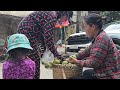 Ninh Linh Luong Sends Money Back to His Wife with the Moment of Climbing a Sour Pear Tree