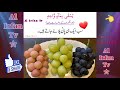 Most beautiful recitation of the Holy Quran.Islamic video..short video////AL Irfan Tv