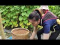 17 year old girl- Husband came to find me and promised to change- Harvesting garden cucumber to sell