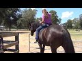 How to Stop a Bolting Horse - The Secret is Prevention