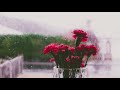 Rain and thunder sounds for sleep - Relaxing Nature Sounds.