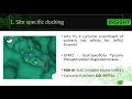 Webinar - Practical Molecular Docking