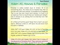 Prophet Adam Alayhis Salam.