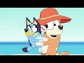 Bingo at the Beach! 🏝️🧡 | The Beach - Bluey Full Episode | Bingo - Official Channel