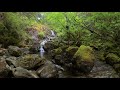 Nature Sounds for sleep and meditation - Sitting by a Waterfall #2 [Extended Version]