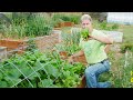 6 Basic Survival Garden Tasks (for Better Harvests)
