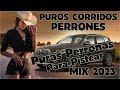 Puros Corridos Perrones - Puras Perronas Para Pistear Mix 2024