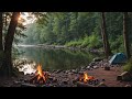 Forest Symphony | Camping by the Riverside | Forest Birds Chirping nature sounds