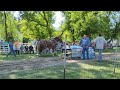 Horse Pull at Donnelly Threshing Bee August 27, 2023