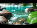 Relaxing Sound Water Flowing | Ambient Sound & White Noise  for Calm Focus, Concentration | NO MUSIC
