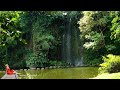 [Coffee Time Playlist] Beautiful Relaxing Morning Meditation Music To Help You Start Your Day