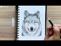 How to Draw a Realistic Wolf in pencil - step by step
