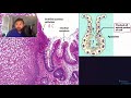 USMLE Step 1 General Pathology: Cell Injury, Death, Adaptations