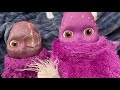 The Story Of Boohbah Inception Of War: S1 EP 6