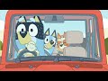 Bluey & Bingo's Favourite Toys | Bluey