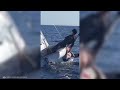 Total Idiots In Boats and Biggest Ship Collisions Caught On Camera !