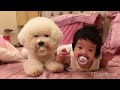 比熊嬰兒一人一個奶嘴，感情才不會散 baby pacifier and his pacifier