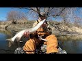 EPIC Day Fishing River BEASTS!