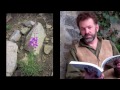 Botany in a Day Tutorial (46 mins) The Patterns Method of Plant Identification